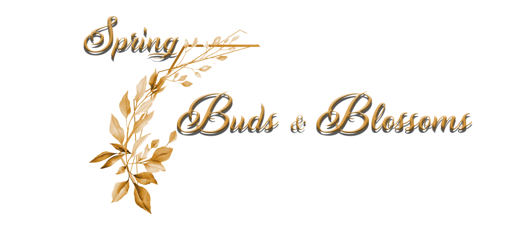 Spring Buds & Blossoms
